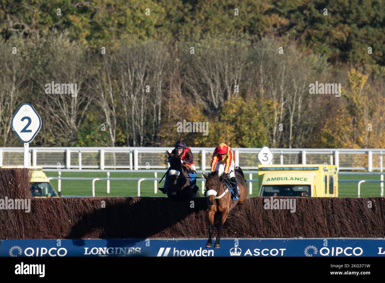 Ascot, Berkshire, UK. 19th November, 2022. Horse Coole Cody ridden by