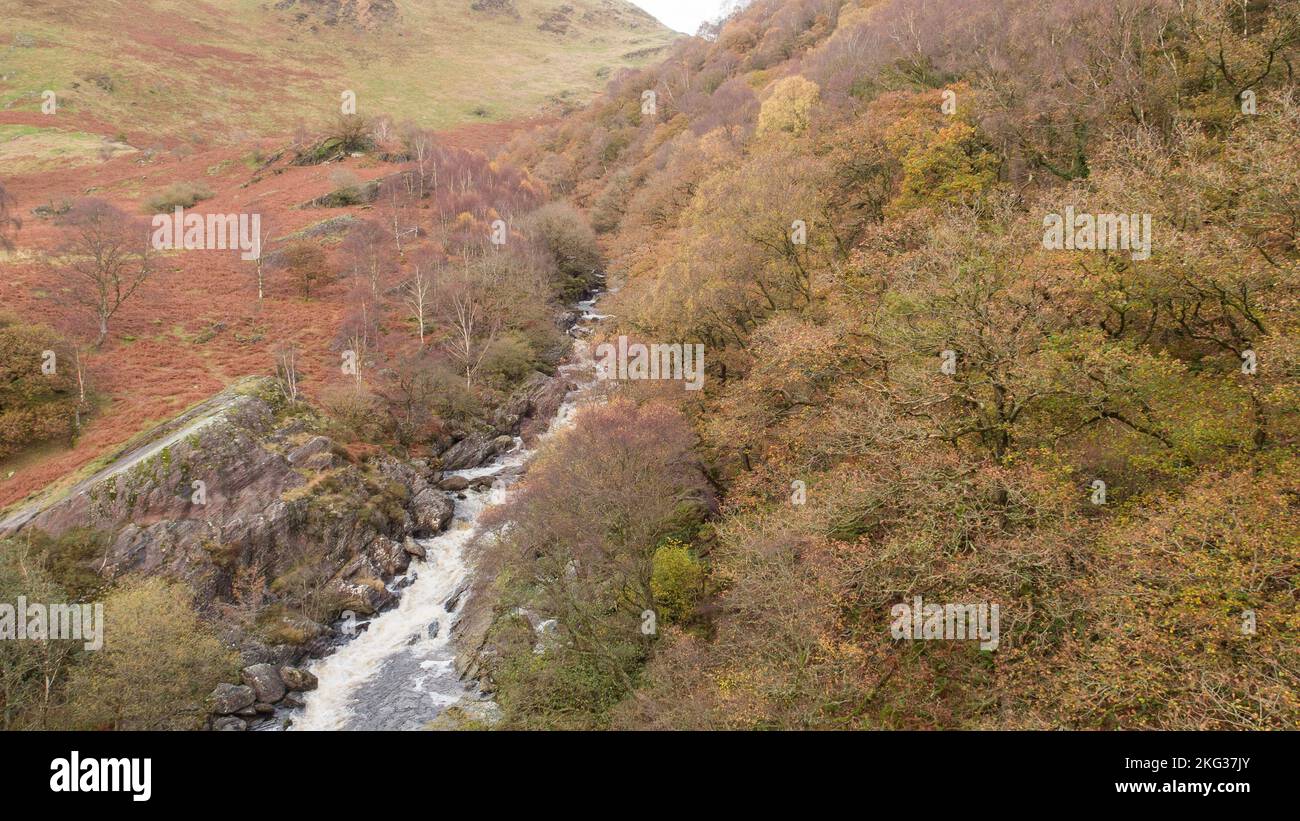 Aerial view of the River Towy cascade at Gwenffrwd Dinas RSPB Nature