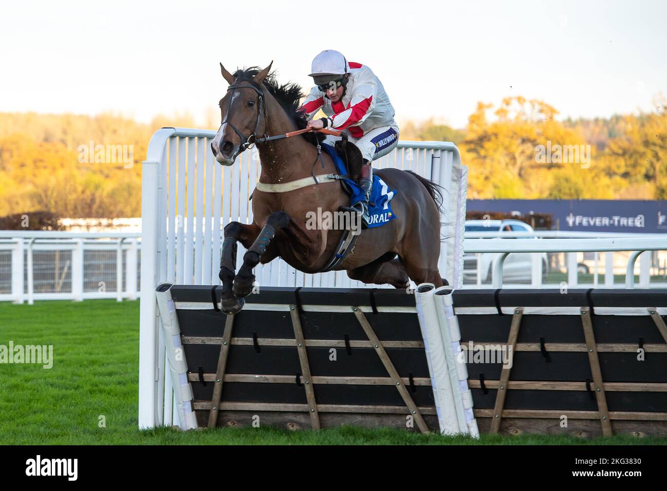 Gary moore horse trainer hires stock photography and images Alamy