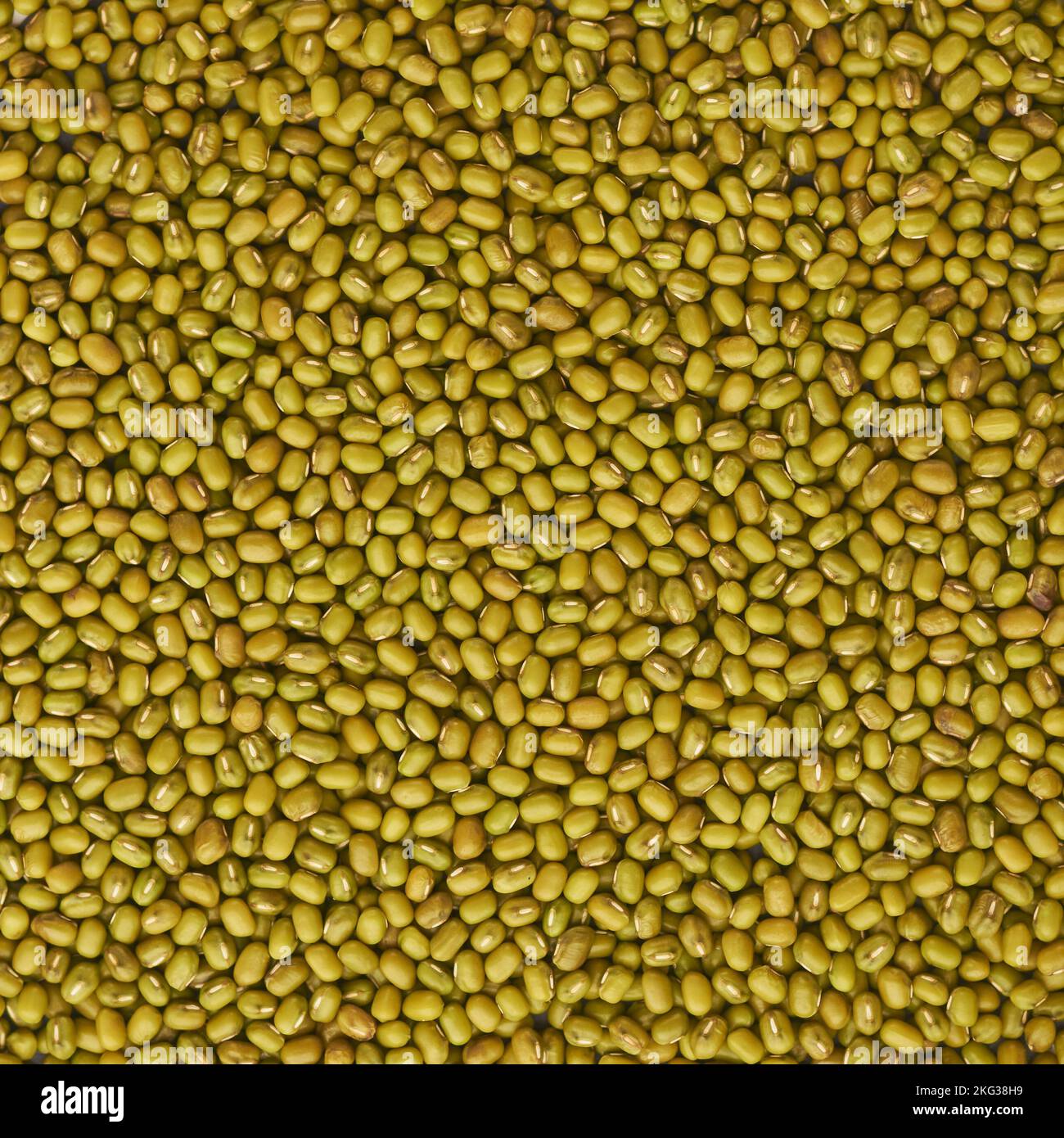 raw green gram or mung beans, high nutrients and antioxidant grain