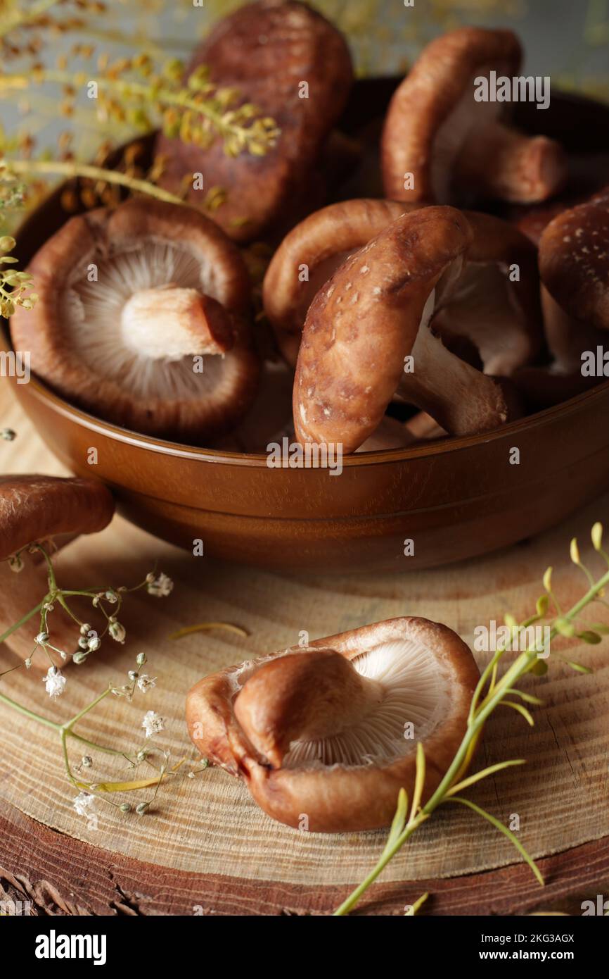 shitake mushroom Stock Photo