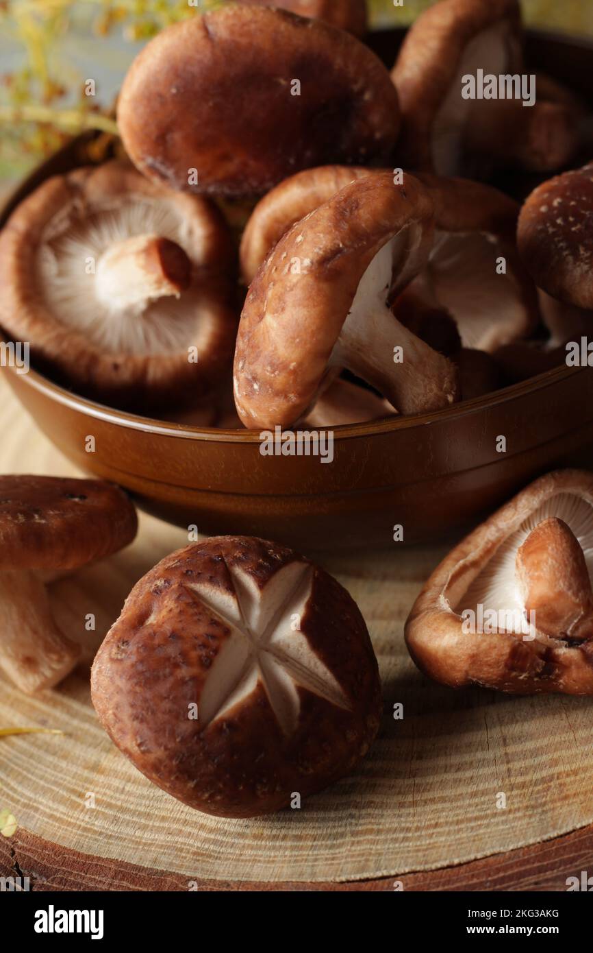 shitake mushroom Stock Photo