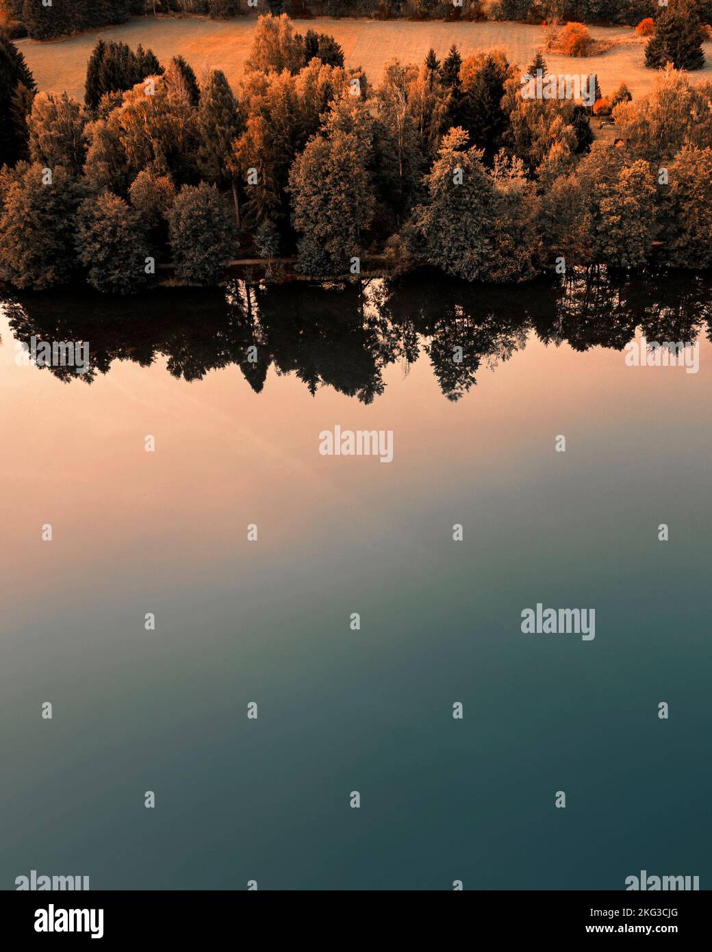 A vertical drone shot of a lake reflecting yellowing trees near golden ...