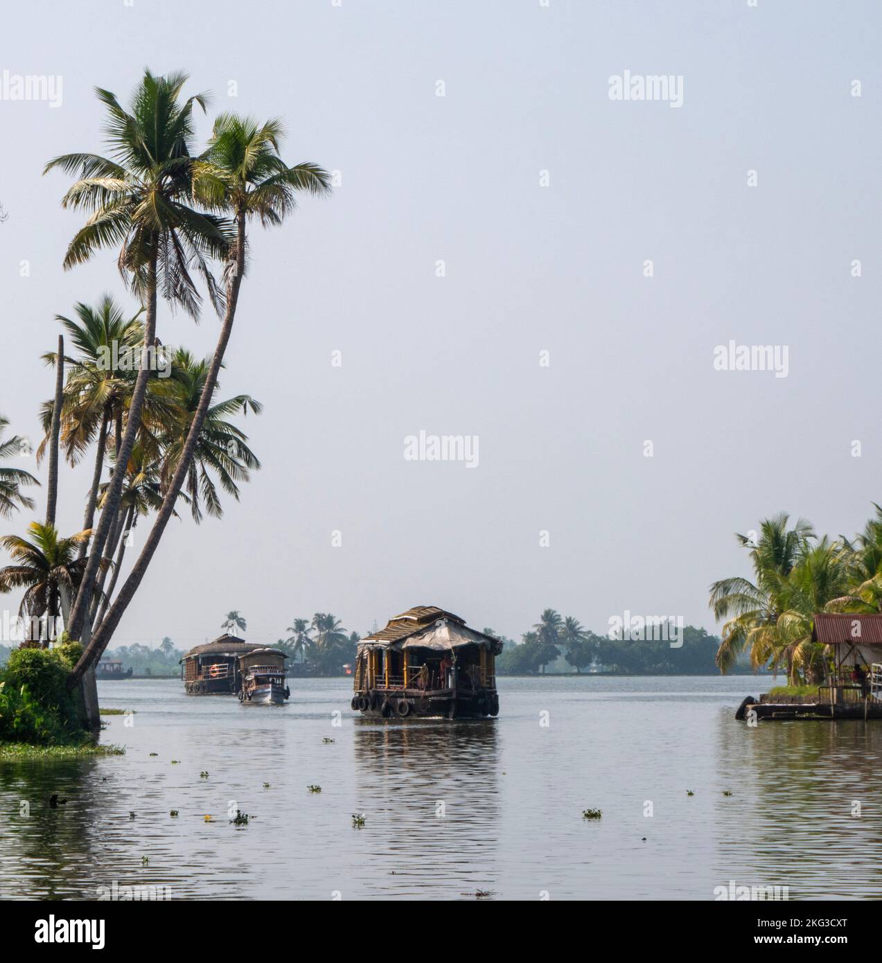 A lowangle of Indian bayous houseboats backwater tour karela against