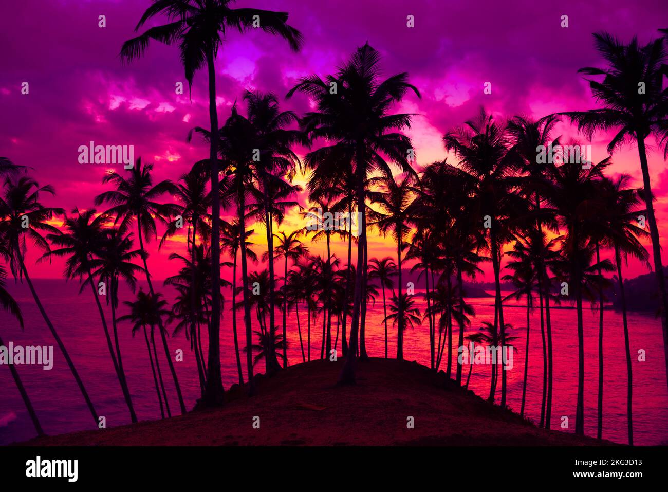 Coconut palm trees on tropical island beach at vivid colorful sunset ...