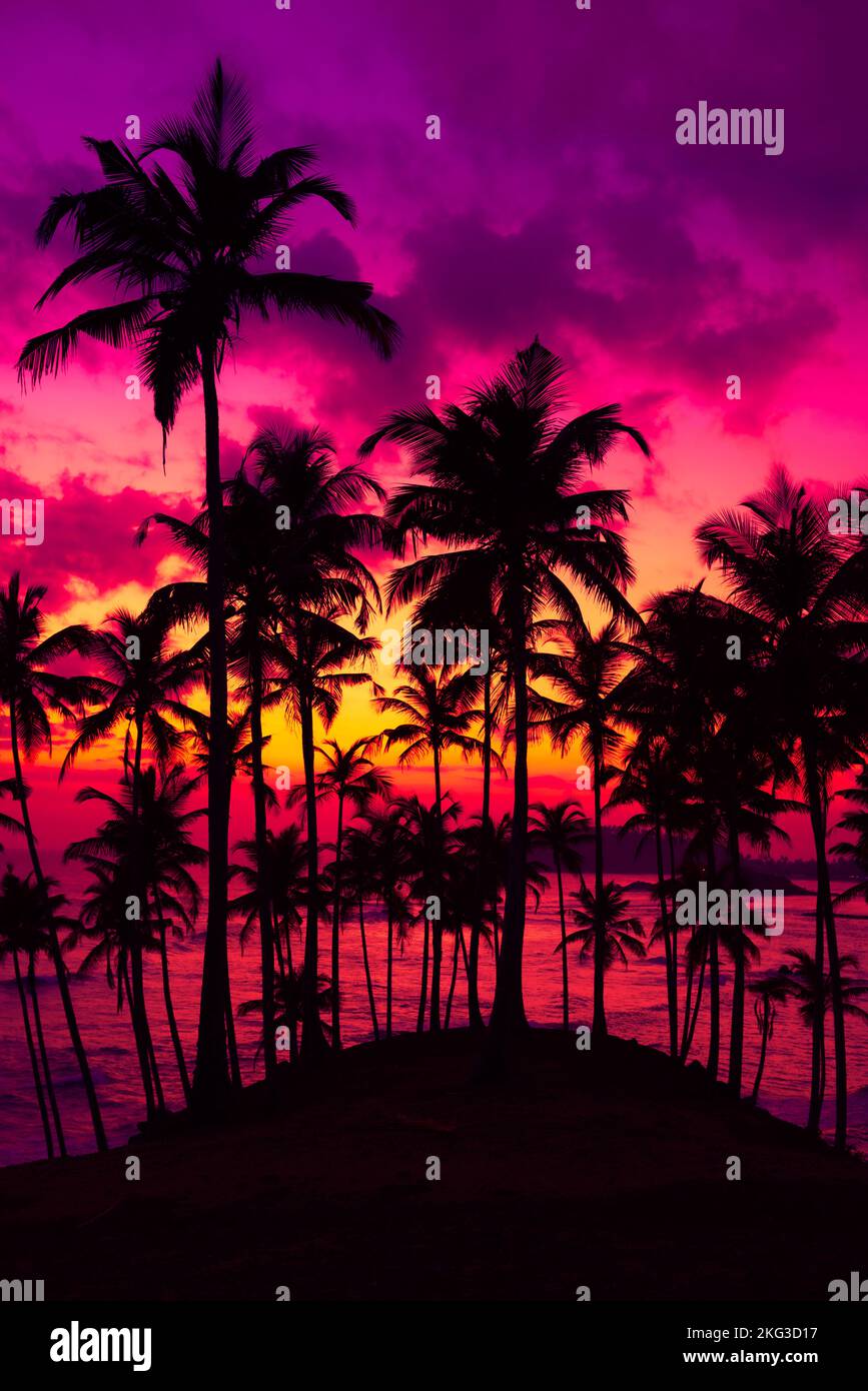 Coconut palm trees on tropical ocean island beach at vivid colorful ...