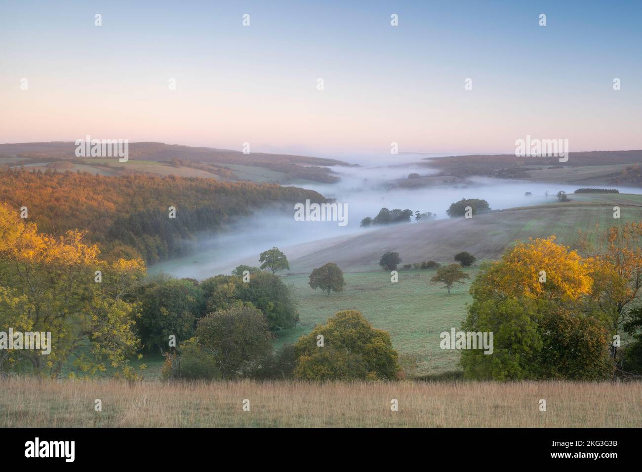 Early morning mist lying in the valley of Singleton in the South Downs National Park in the Autumn. Stock Photo