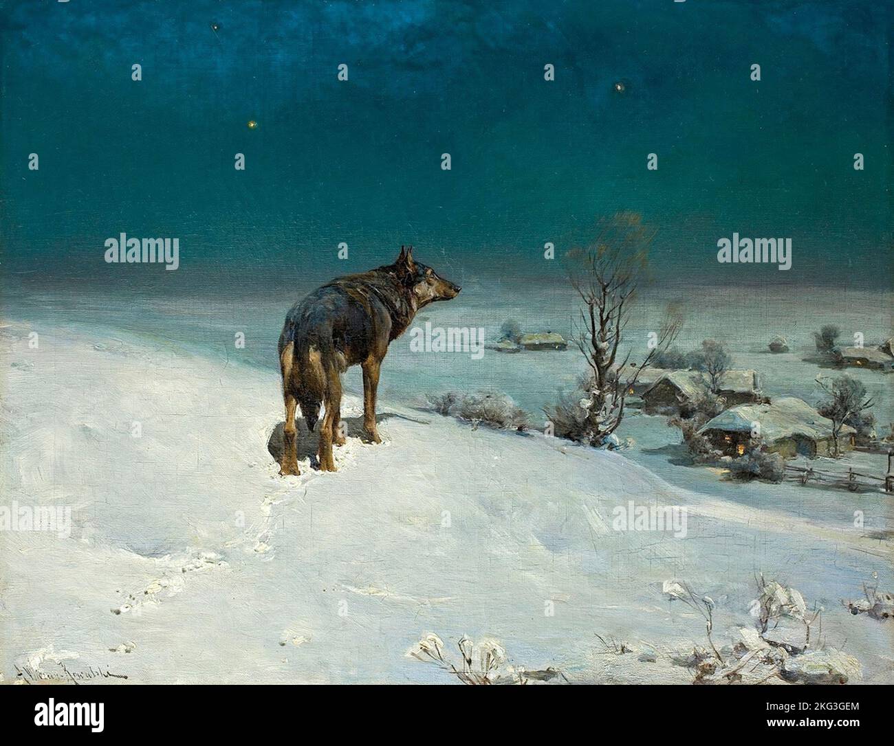 Der einsame wolfle hires stock photography and images Alamy