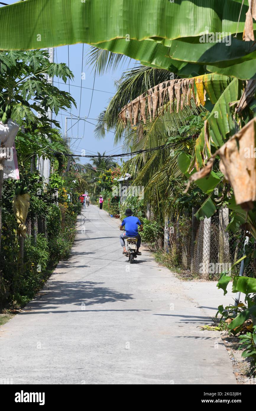 A man on a small motorbike travels along a single track road lined with lush vegetation on Unicorn Island or Thai Son Island, Vietnam, SE Asia Stock Photo