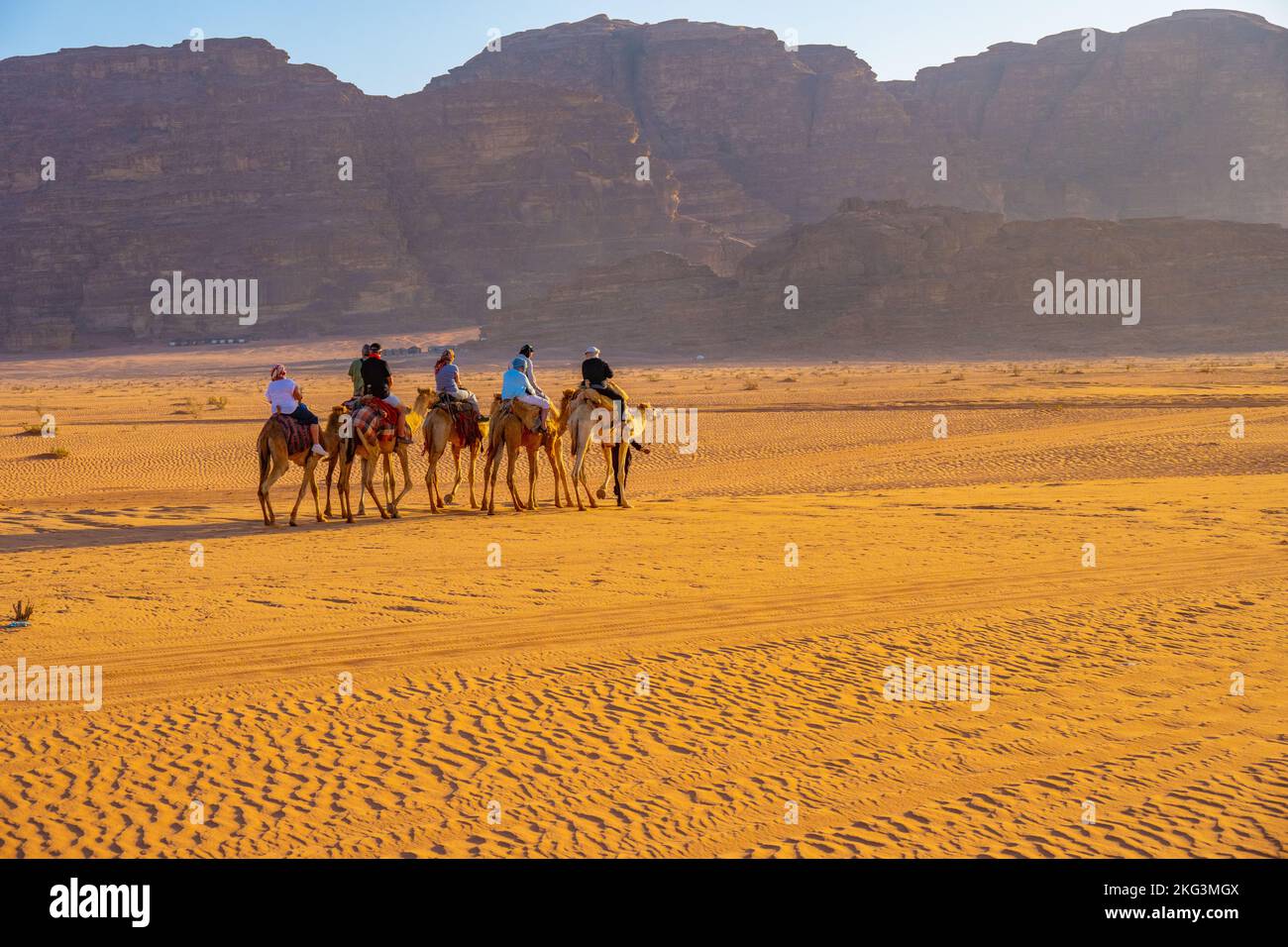 Tourists on an evening camel track on the sands of Wadi rum Jordan Stock Photo