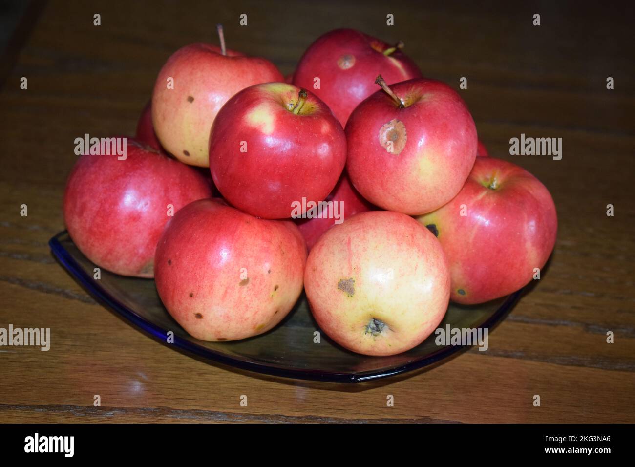 apples on a blue glass plate Stock Photo