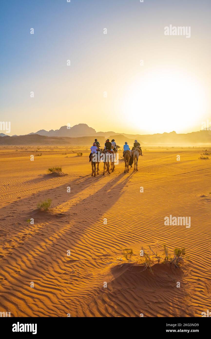 Tourists on an evening camel track on the sands of Wadi rum Jordan Stock Photo