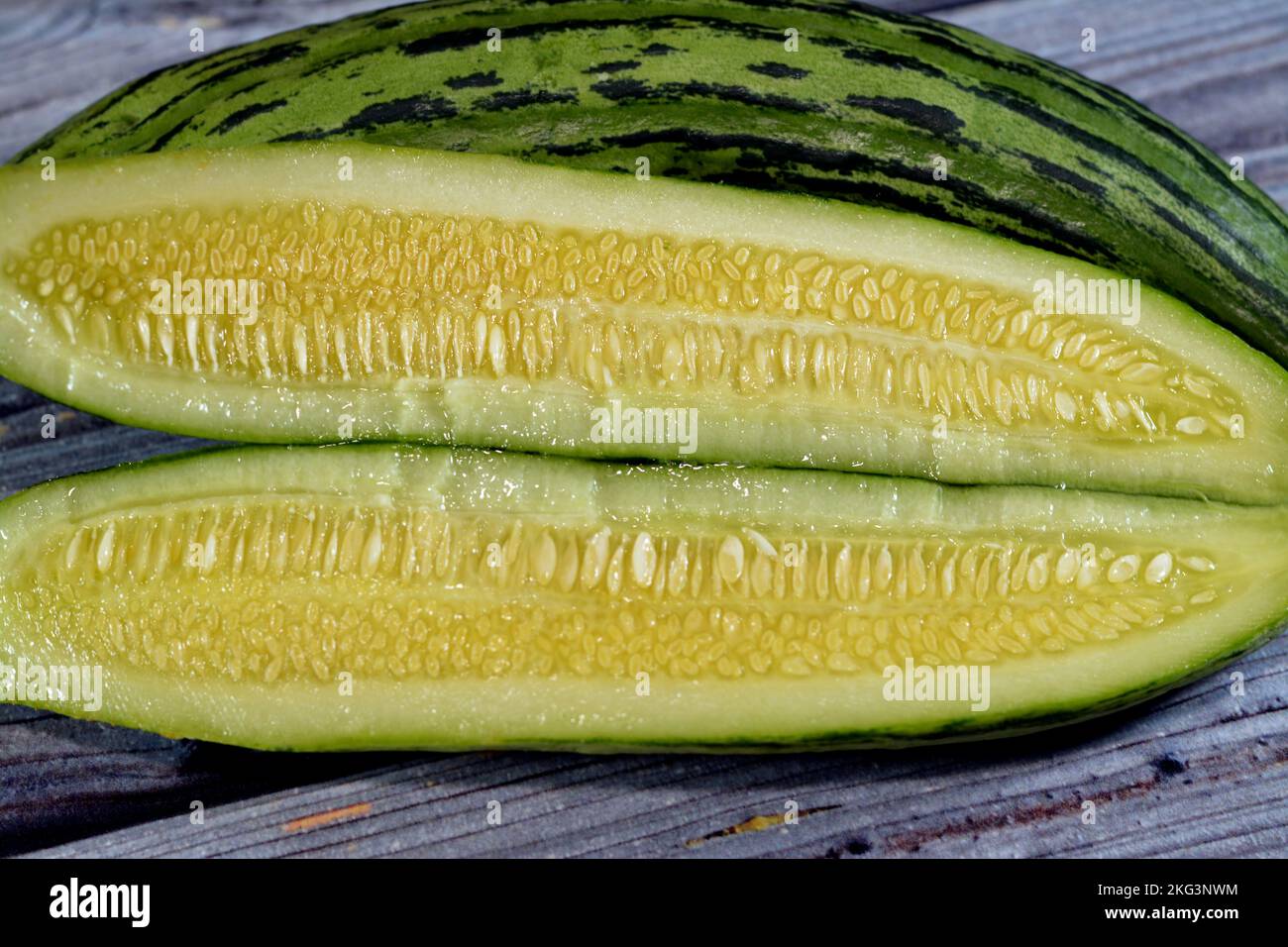 The Armenian cucumber, Cucumis melo var. flexuosus, a type of long