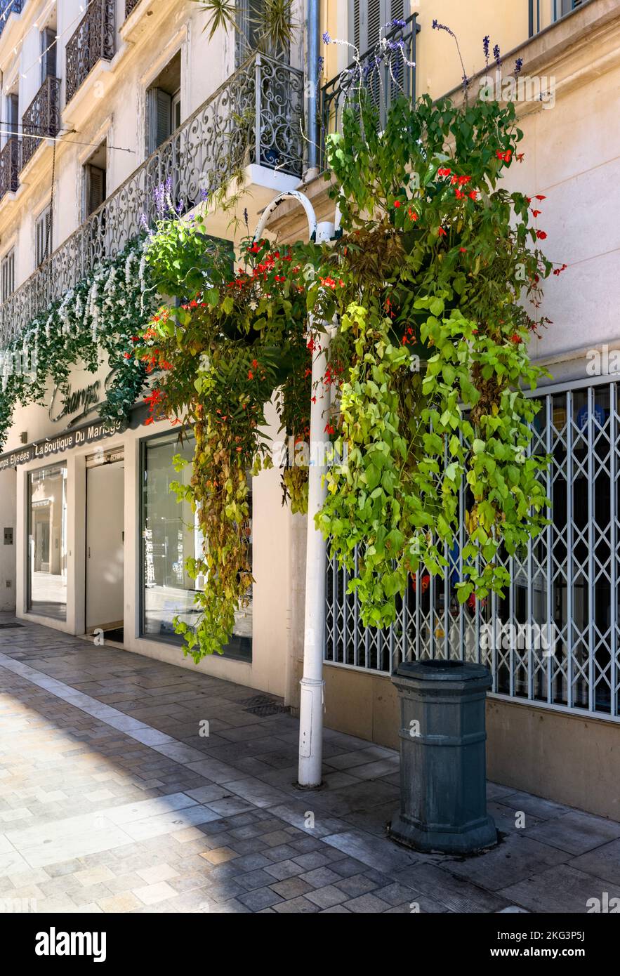 Decorative colourful hanging baskets in the old Town of Toulon, France