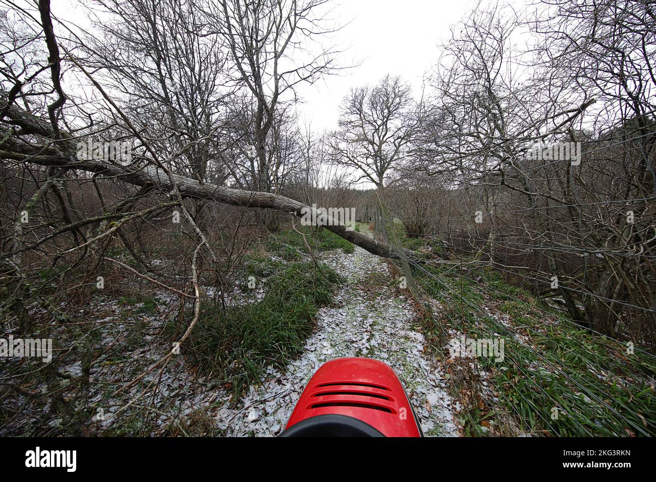 Blocked path. Storm Arwen Stock Photo