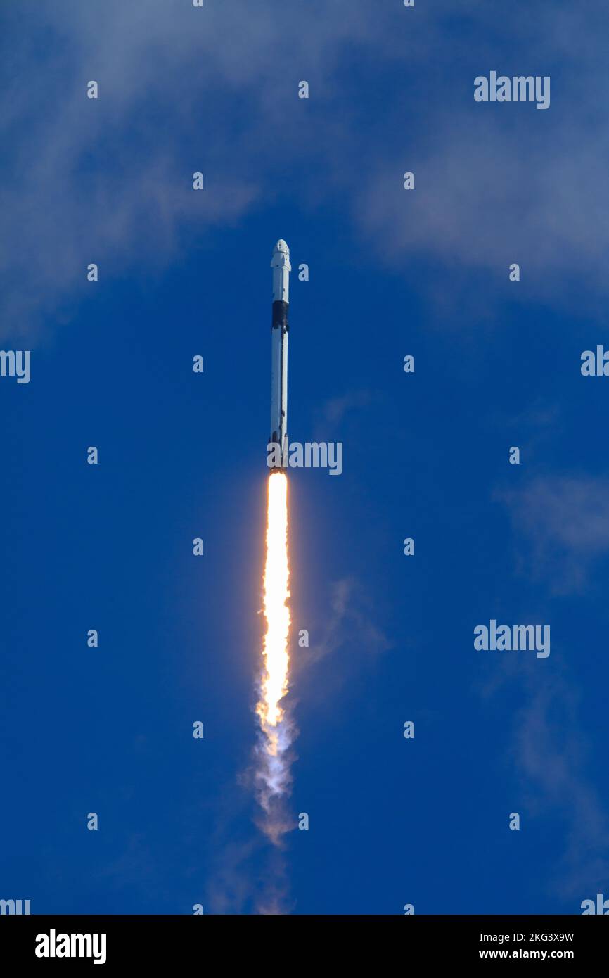 NASA s SpaceX Crew 5 Live Launch Coverage SpaceX s Falcon 9 Rocket Nasa s spacex crew 5 live launch coverage spacex s falcon 9 rocket