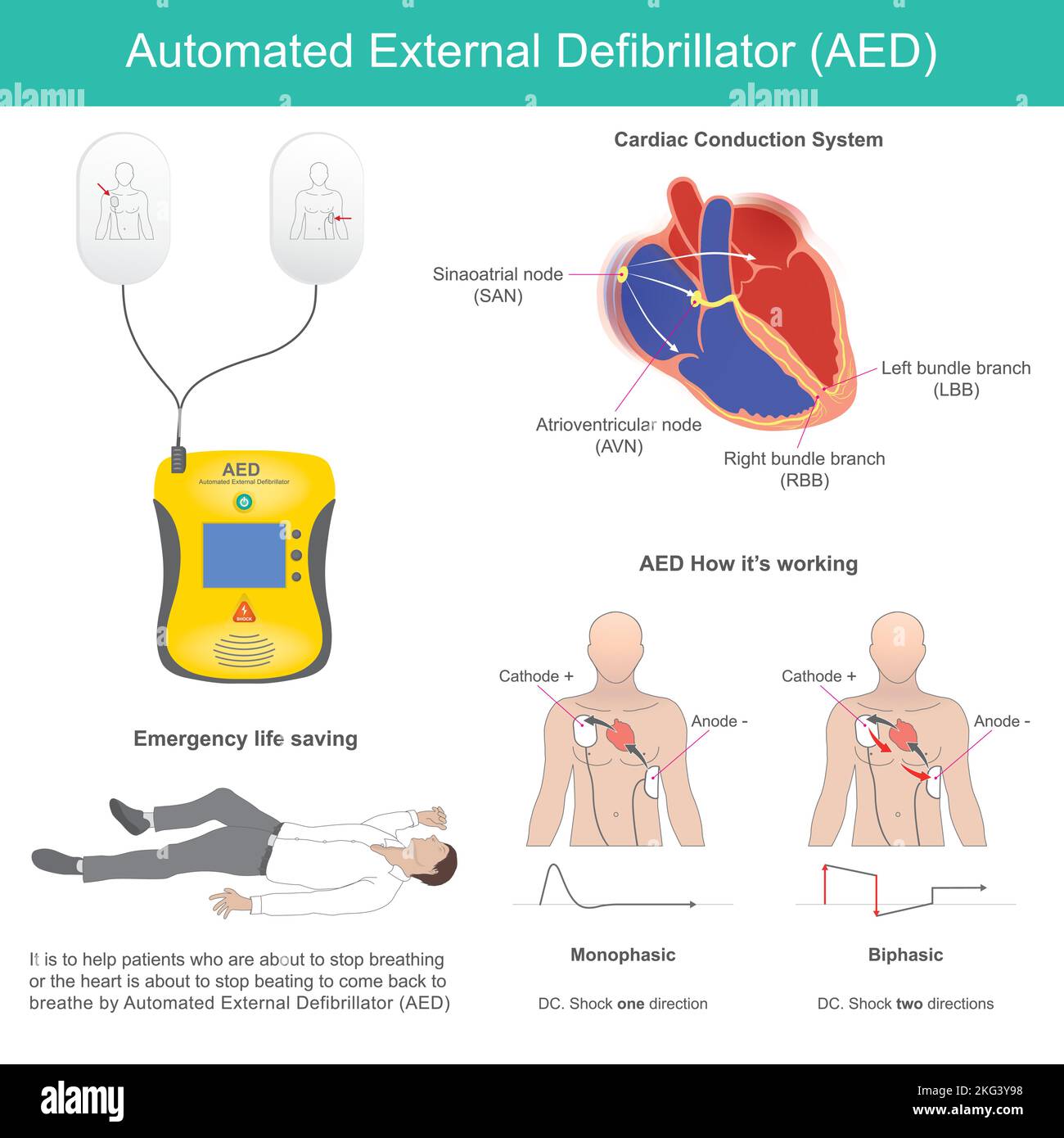 Aed Medical Abbreviation USA Store gbuhamovniki.ru