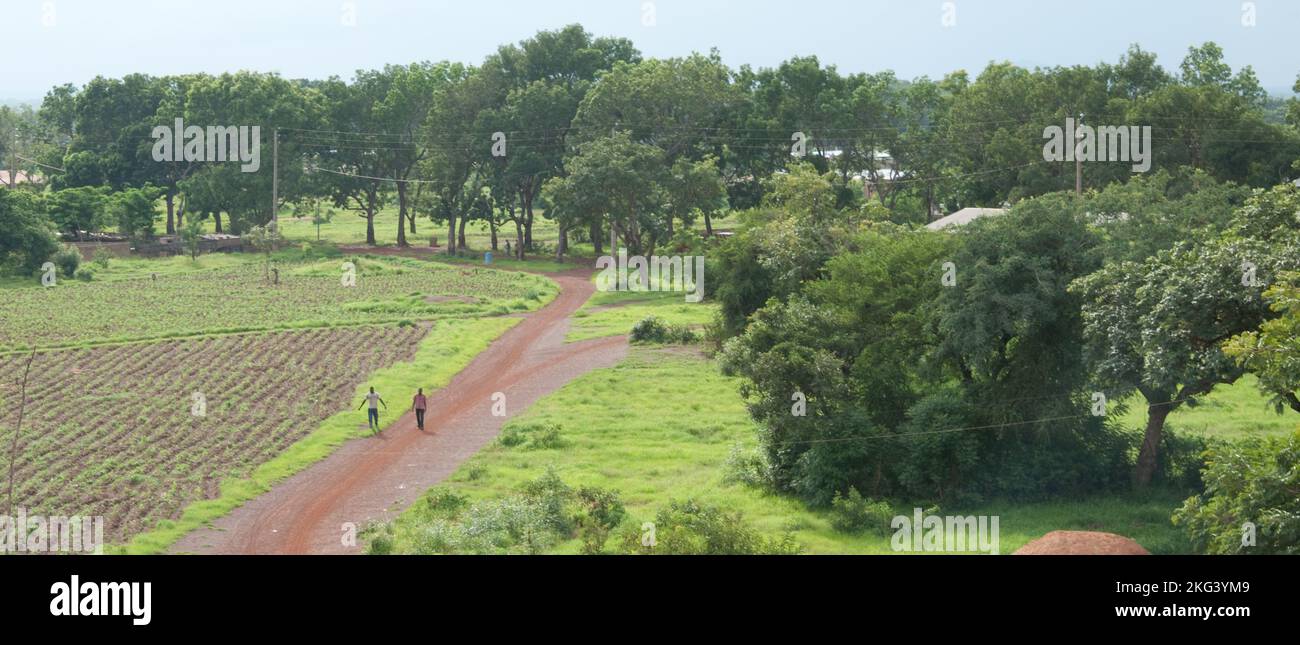 Path leading into Tangueta through fields and tree-lined avenues, Tangueta, Atacora, Benin Stock Photo