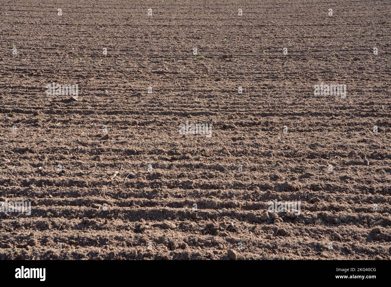 ploughed field in autumn Stock Photo