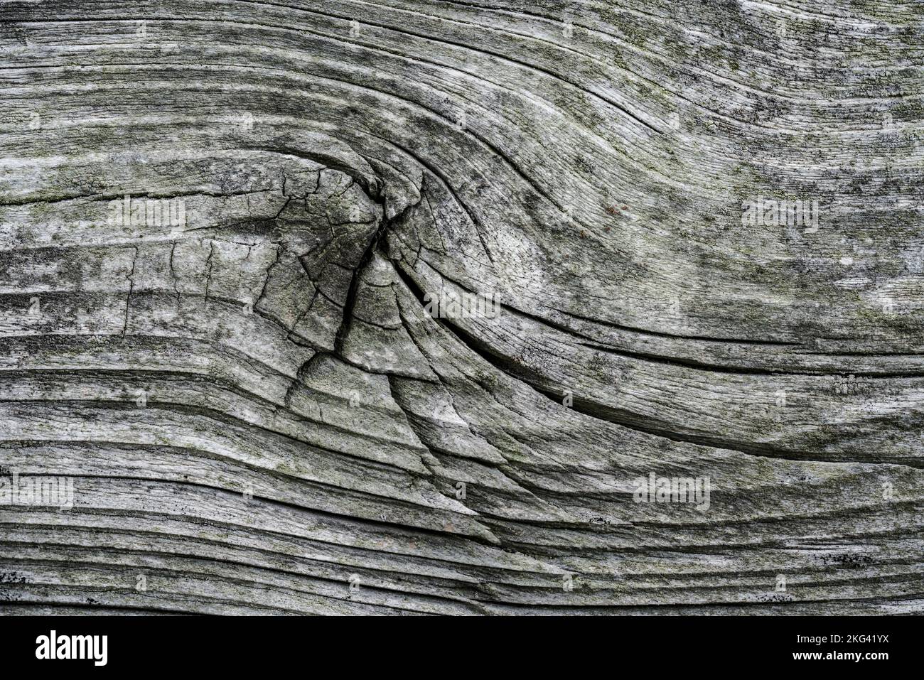 Old wood plank Stock Photo