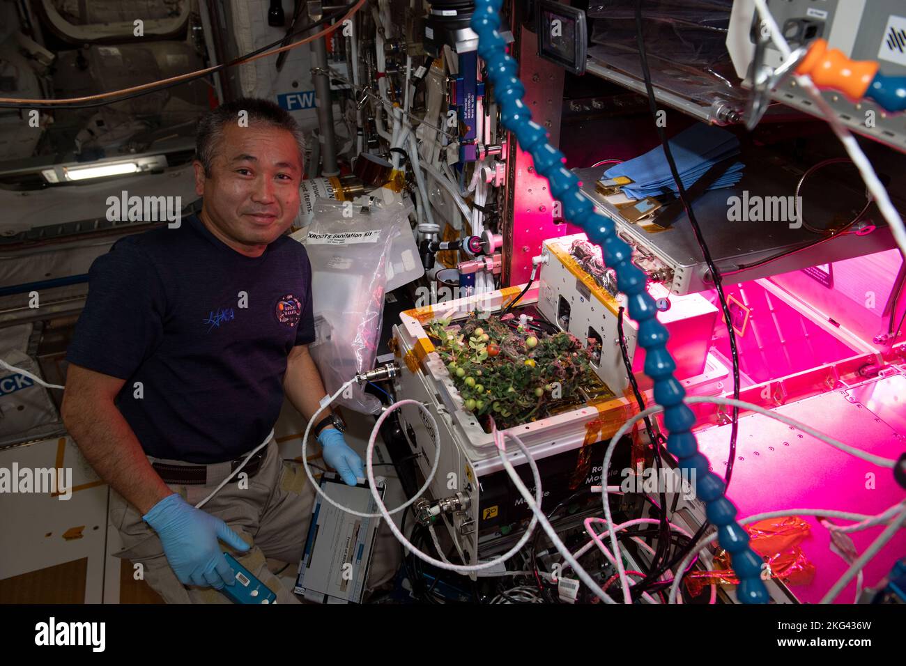 eXposed Root On-Orbit Test System (XROOTS). iss068e017824 (Oct. 21 