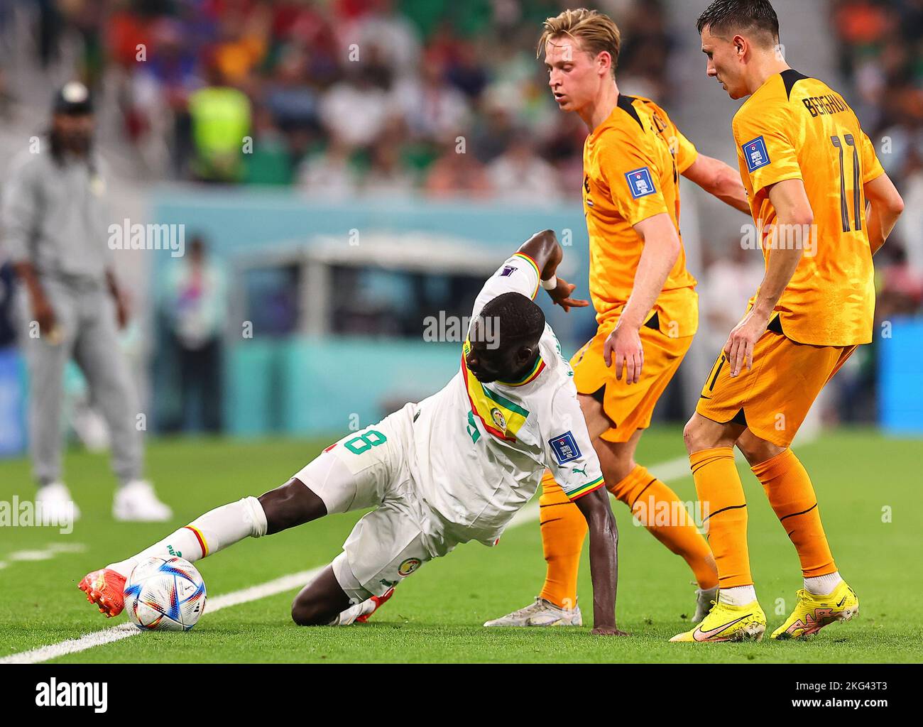 Doha, Qatar. 21st Nov, 2022. Cheikhou Kouyate (L) of Senegal saves the ball during the Group A match between Senegal and the Netherlands at the 2022 FIFA World Cup at Al Thumama Stadium in Doha, Qatar, Nov. 21, 2022. Credit: Ding Xu/Xinhua/Alamy Live News Stock Photo
