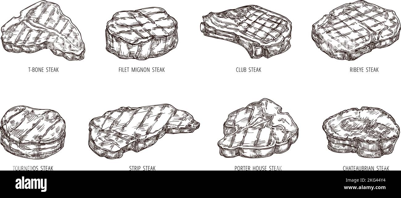 Sketch steak. Hand drawn beef food, engraving bbq meat strip, club and ribeye steaks vector set Stock Vector