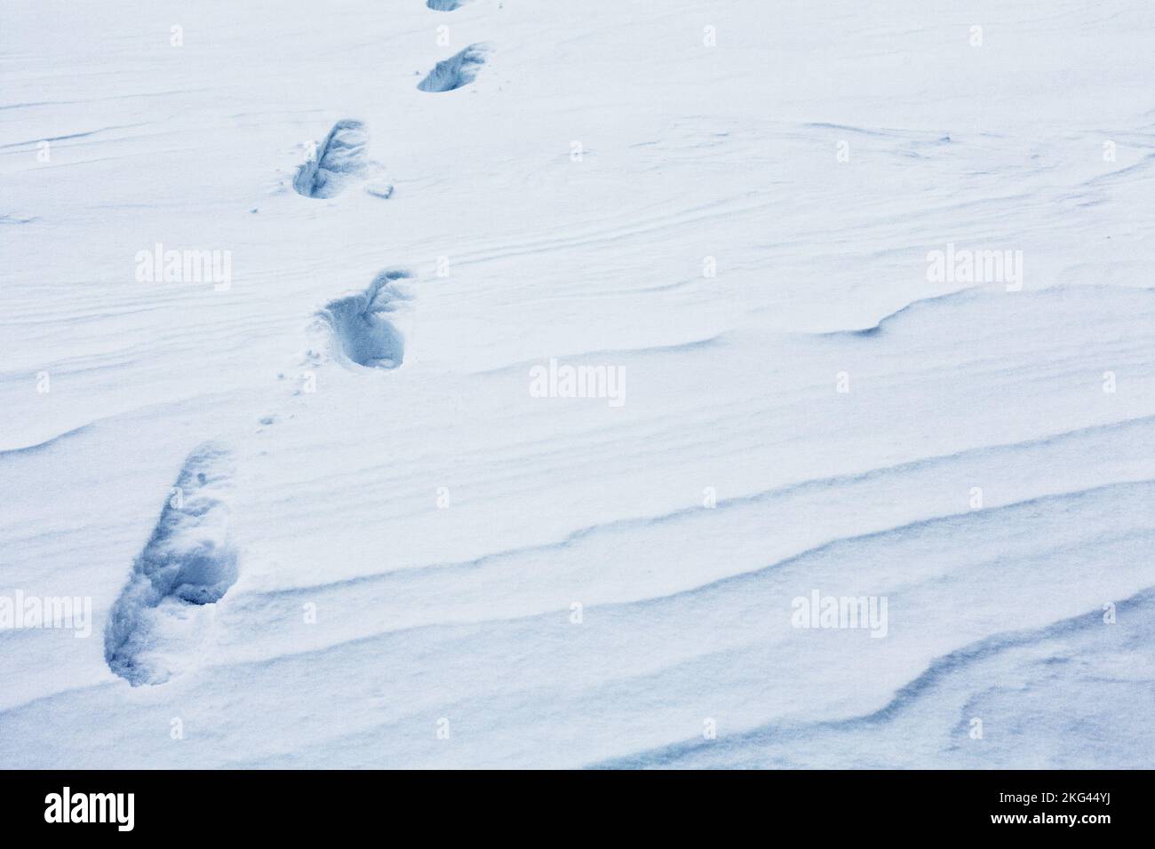 Footprints in the snow Stock Photo Alamy