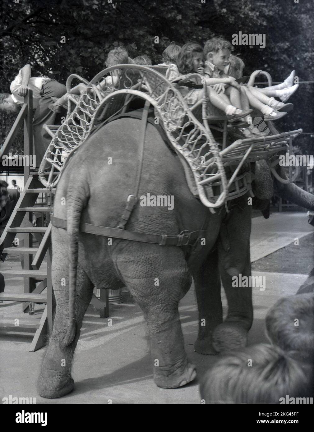 Zoo elephant ride britain hi-res stock photography and images - Alamy