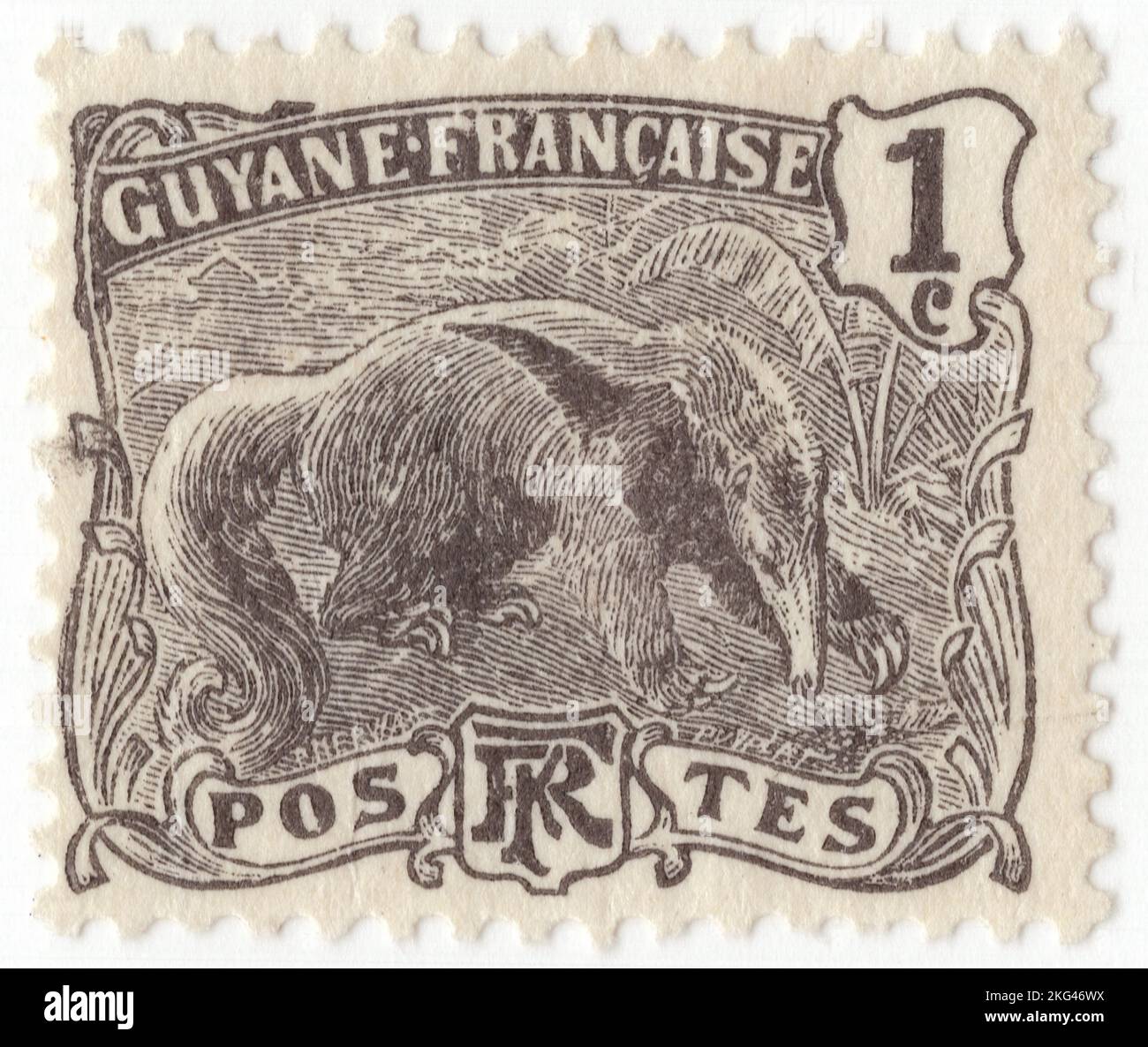 FRENCH GUIANA - 1905: An 1 centime black postage stamp depicting Giant Anteater (Myrmecophaga tridactyla) is an insectivorous mammal native to Central and South America. It is one of four living species of anteaters, of which it is the largest member. The only extant member of the genus Myrmecophaga, it is classified with sloths in the order Pilosa. This species is mostly terrestrial, in contrast to other living anteaters and sloths, which are arboreal or semiarboreal Stock Photo