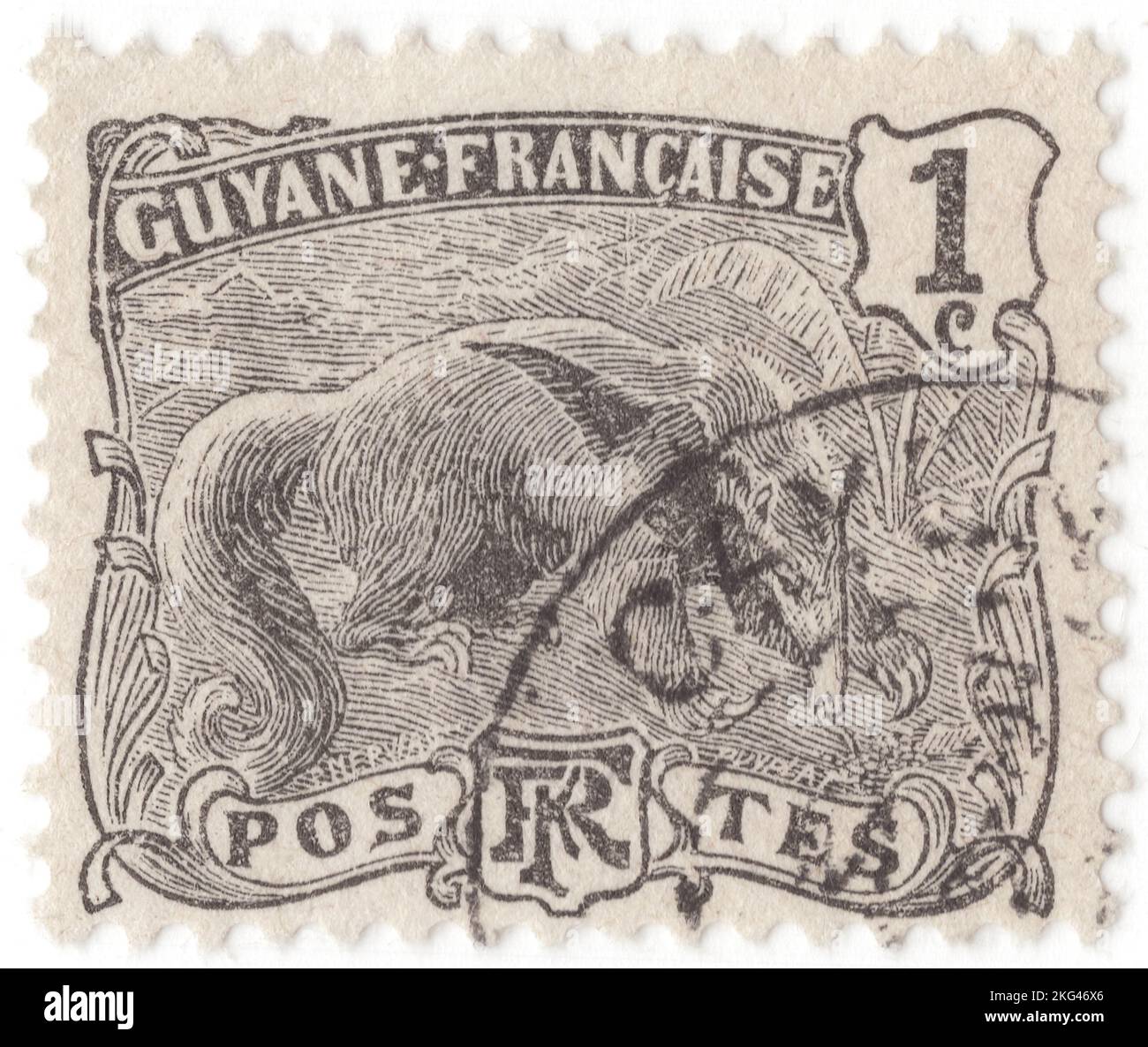 FRENCH GUIANA - 1905: An 1 centime black postage stamp depicting Giant Anteater (Myrmecophaga tridactyla) is an insectivorous mammal native to Central and South America. It is one of four living species of anteaters, of which it is the largest member. The only extant member of the genus Myrmecophaga, it is classified with sloths in the order Pilosa. This species is mostly terrestrial, in contrast to other living anteaters and sloths, which are arboreal or semiarboreal Stock Photo