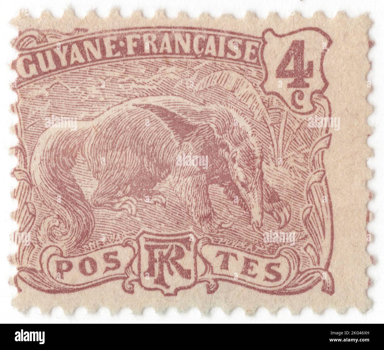 FRENCH GUIANA - 1905: An 4 centime red-brown postage stamp depicting Giant Anteater (Myrmecophaga tridactyla) is an insectivorous mammal native to Central and South America. It is one of four living species of anteaters, of which it is the largest member. The only extant member of the genus Myrmecophaga, it is classified with sloths in the order Pilosa. This species is mostly terrestrial, in contrast to other living anteaters and sloths, which are arboreal or semiarboreal Stock Photo