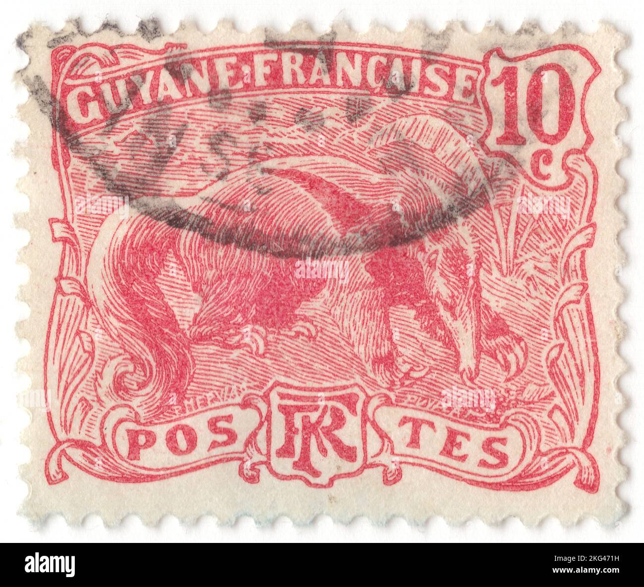 FRENCH GUIANA - 1925: An 10 centimes red on blueish postage stamp depicting Giant Anteater (Myrmecophaga tridactyla) is an insectivorous mammal native to Central and South America. It is one of four living species of anteaters, of which it is the largest member. The only extant member of the genus Myrmecophaga, it is classified with sloths in the order Pilosa. This species is mostly terrestrial, in contrast to other living anteaters and sloths, which are arboreal or semiarboreal Stock Photo