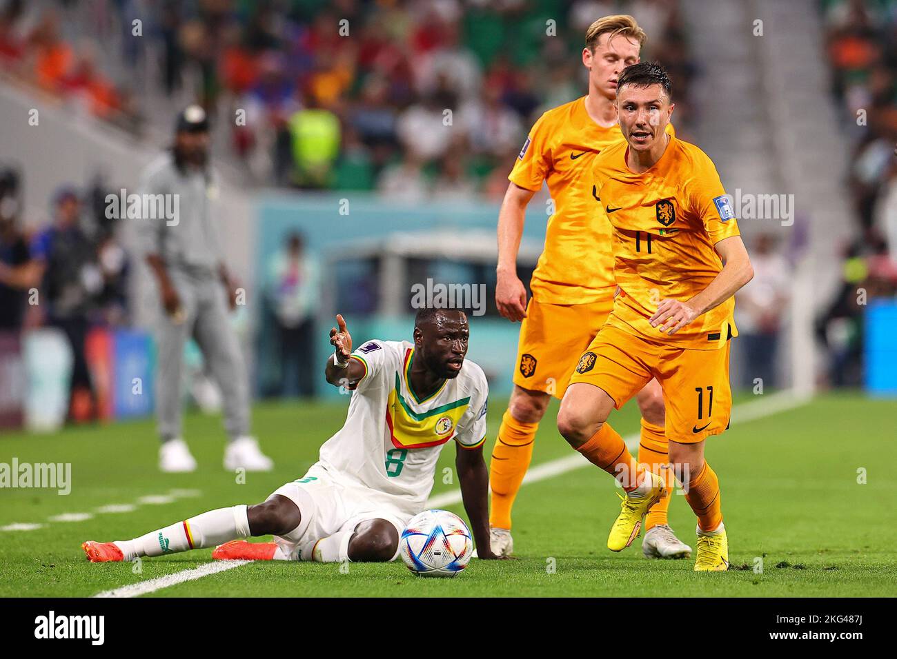 Doha, Qatar. 21st Nov, 2022. Cheikhou Kouyate (L) of Senegal reacts during the Group A match between Senegal and the Netherlands at the 2022 FIFA World Cup at Al Thumama Stadium in Doha, Qatar, Nov. 21, 2022. Credit: Ding Xu/Xinhua/Alamy Live News Stock Photo