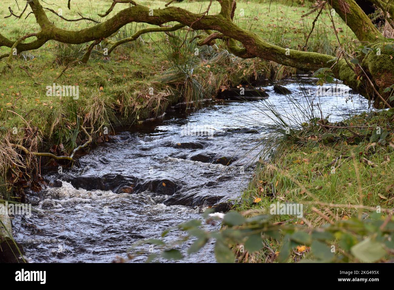 Ffynnon Gybi, St Cybi's Well Stream In Autumn, Llyn Peninsular, North Wales Stock Photo