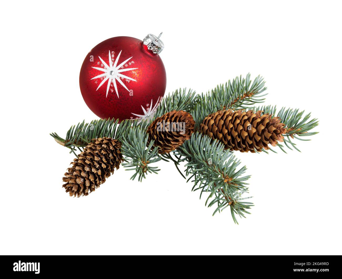 Fir tree branch isolated on white background. Pine branch Stock Photo ...