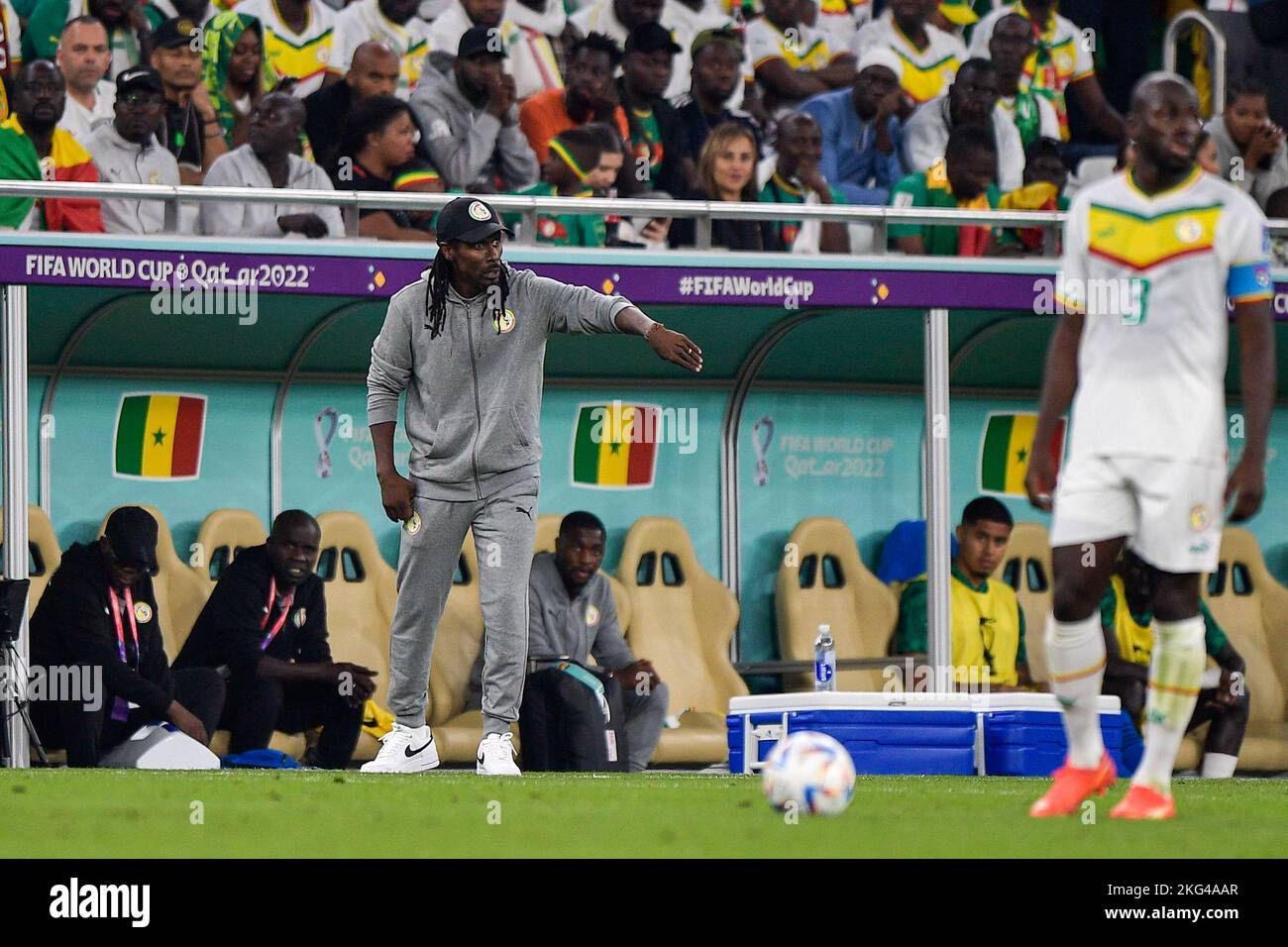 DOHA, QATAR - NOVEMBER 21: Coach Aliou Cisse of Senegal coaches his players during the Group A - FIFA World Cup Qatar 2022 match between Senegal and Netherlands at Al Thumama Stadium on November 21, 2022 in Doha, Qatar (Photo by Pablo Morano/BSR Agency) Stock Photo