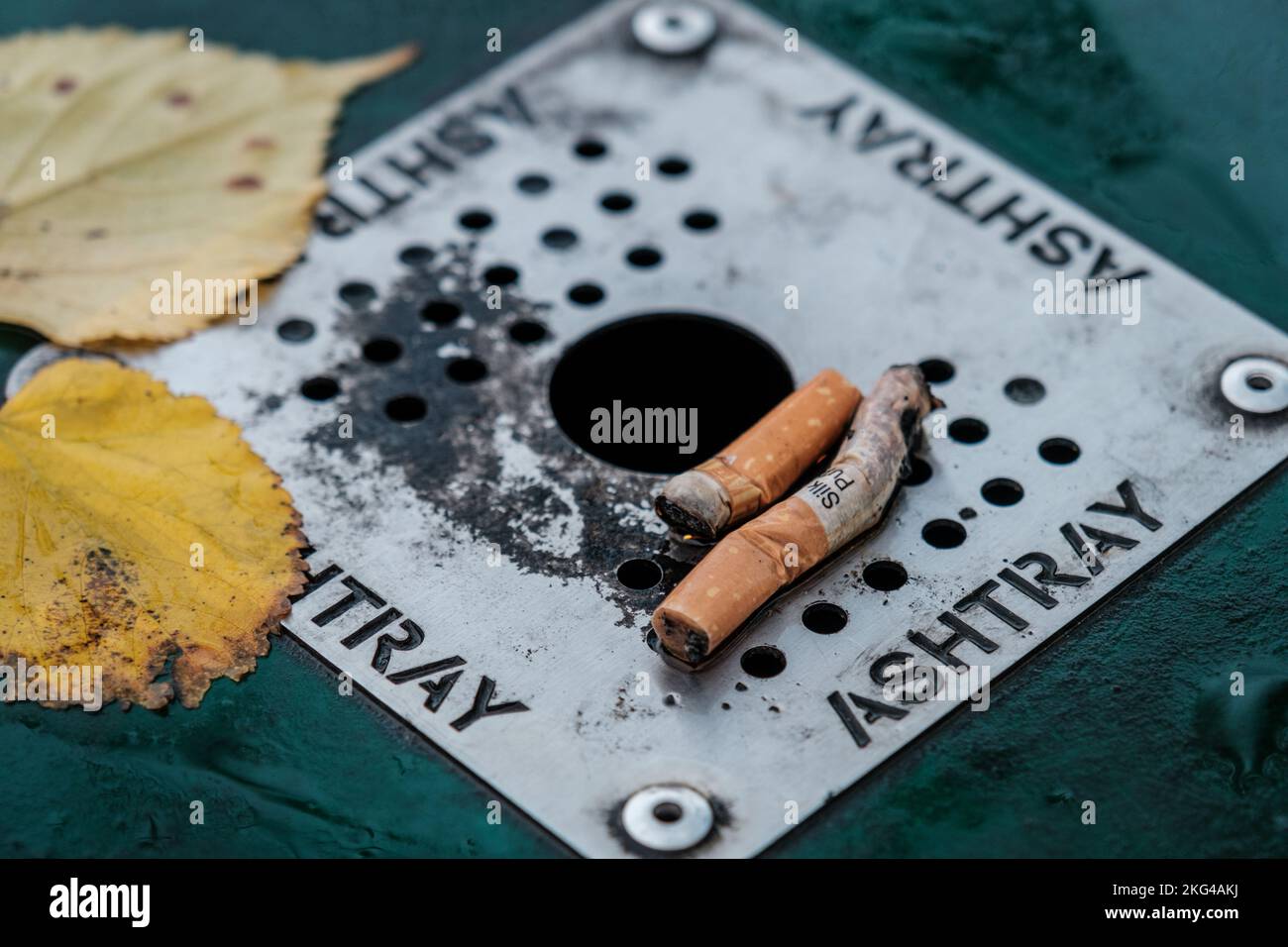 Epsom, Surrey, London UK, November 20 2022, Two Used Cigarette Ends On A Street Ashtray With No People On A Wet Weather Dat Stock Photo