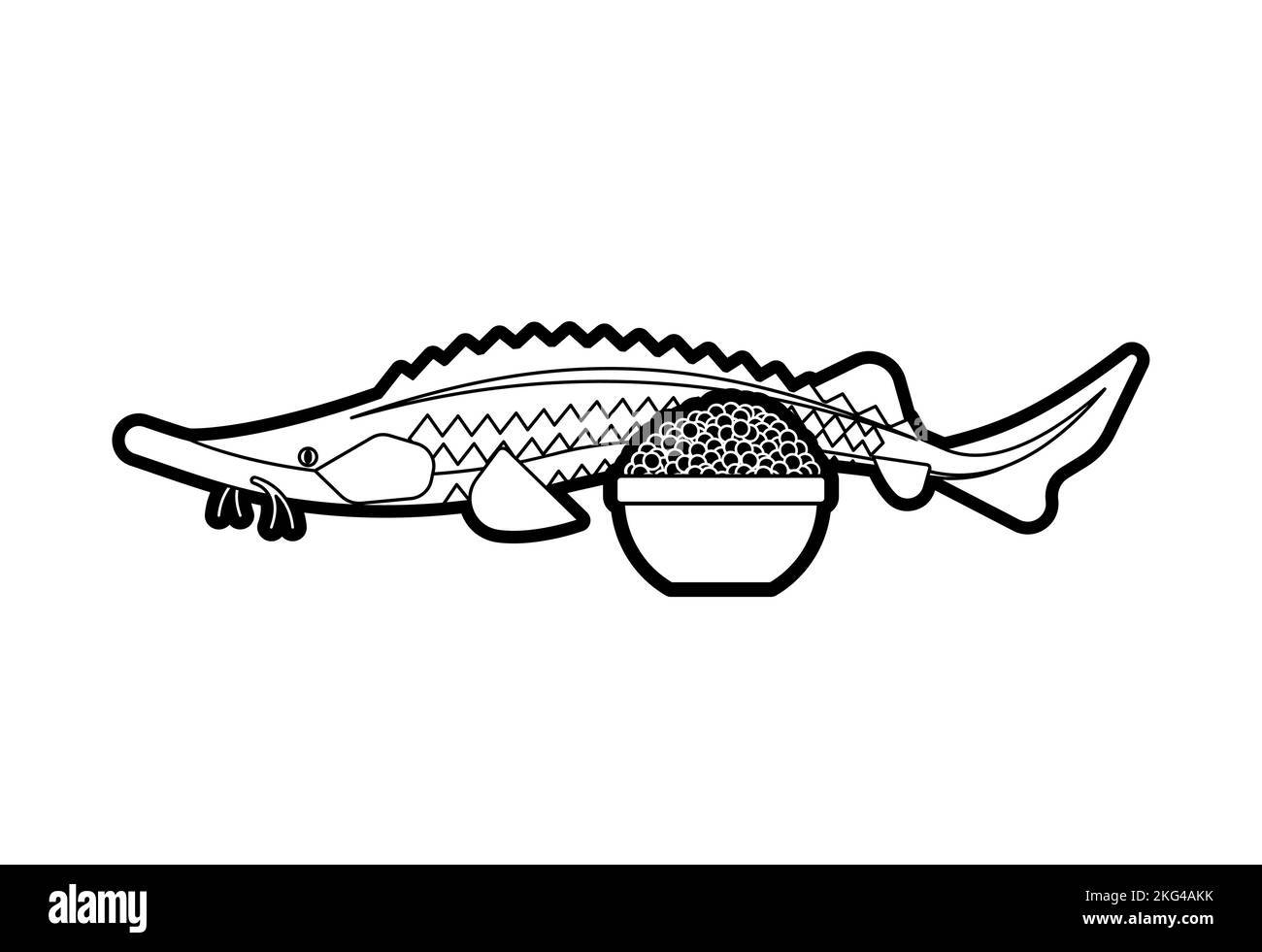 Sturgeon and black caviar isolated. Fish delicacy. Stock Vector