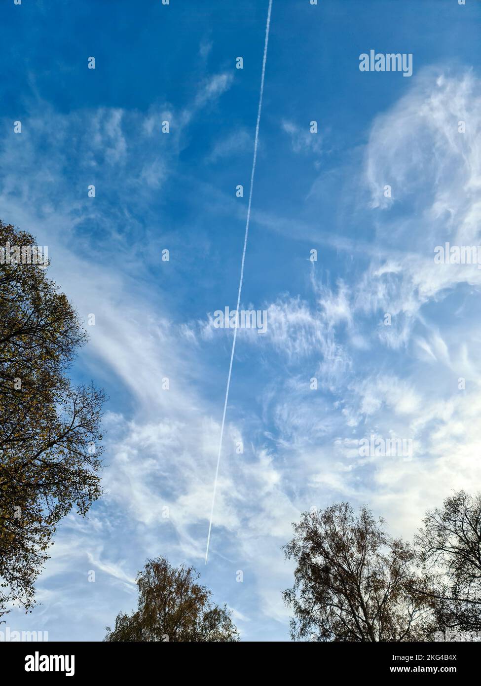 Stunning cirrus cloud formation panorama in a deep blue summer sky seen ...