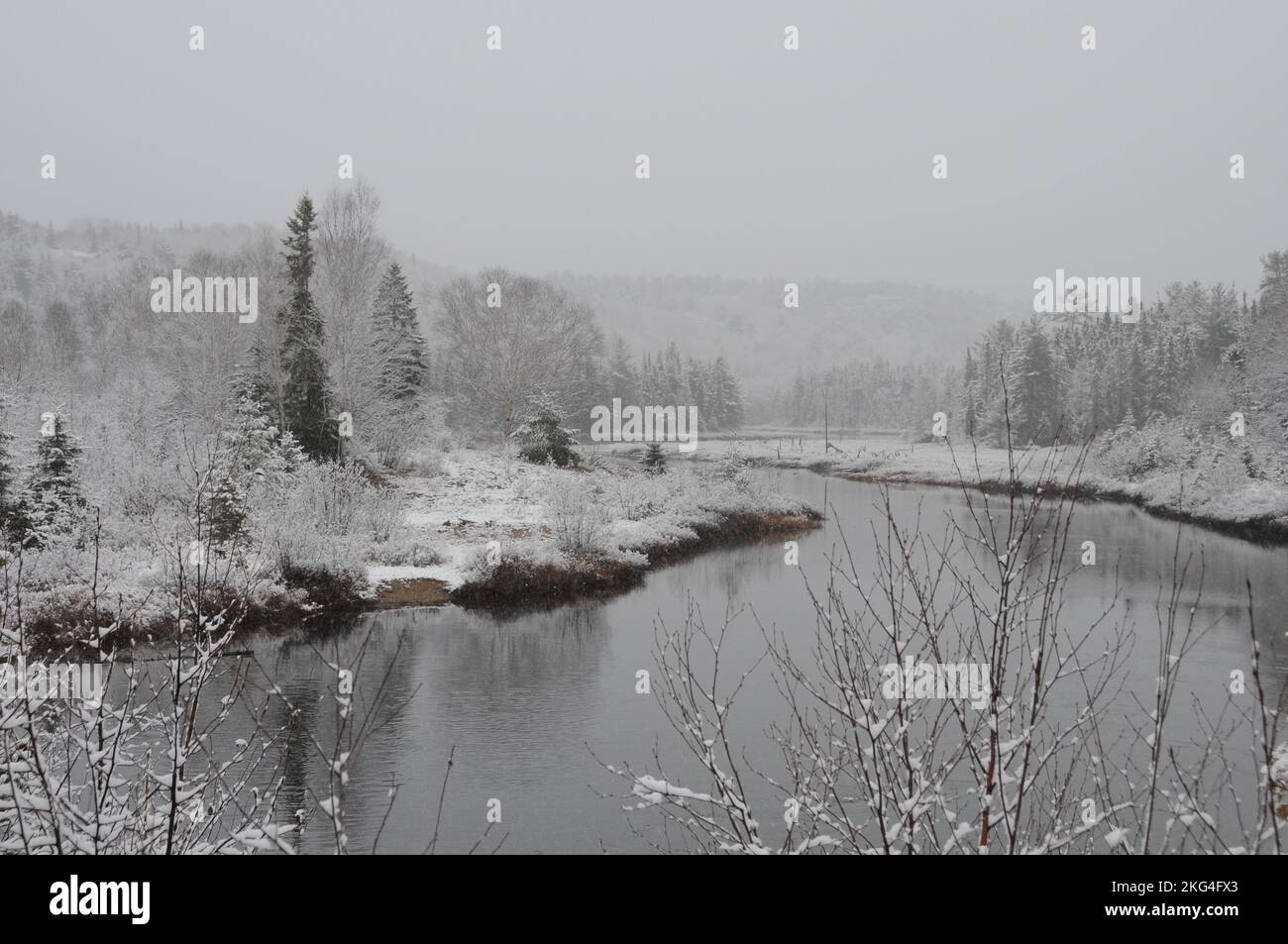 Winter scenery displaying its white blanket on trees, river and with a grey sky with a tranquillity feeling of peace. Horizontal Photo. Stock Photo