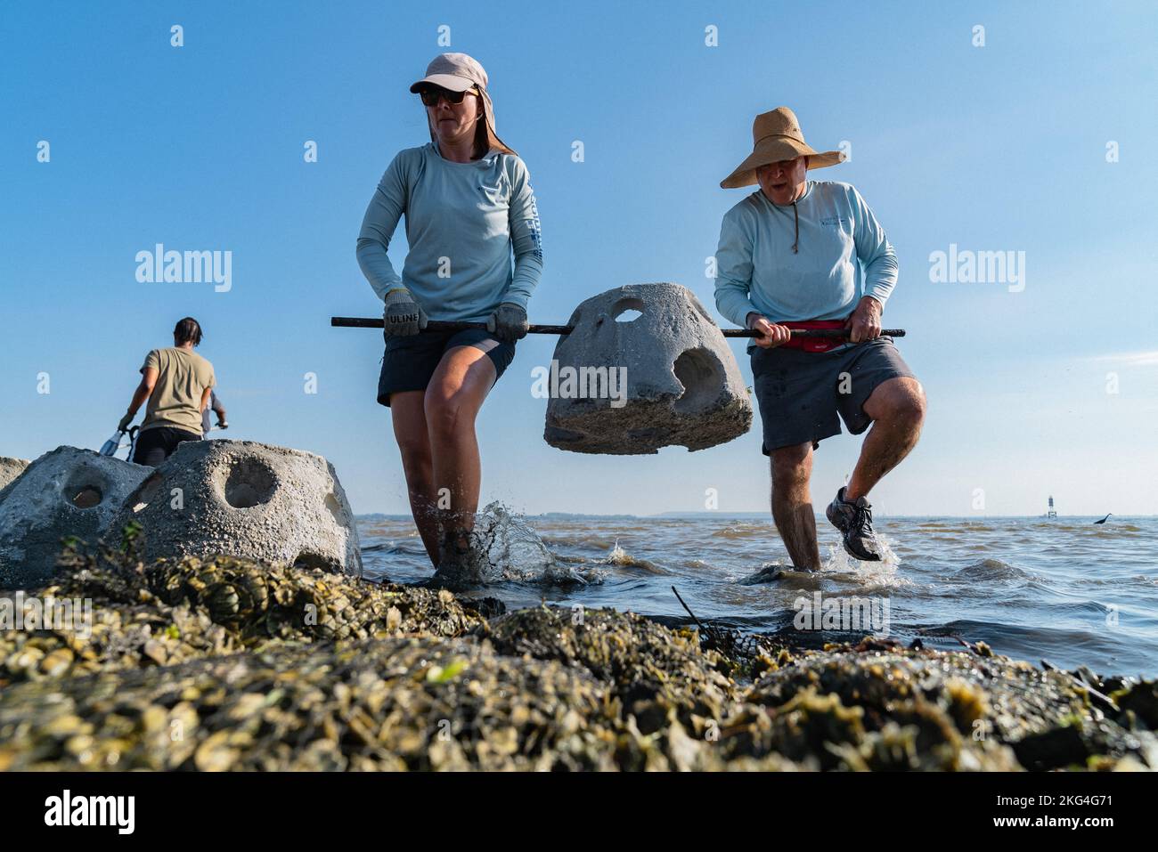 Volunteers install oyster reef balls along the shoreline at MacDill Air ...