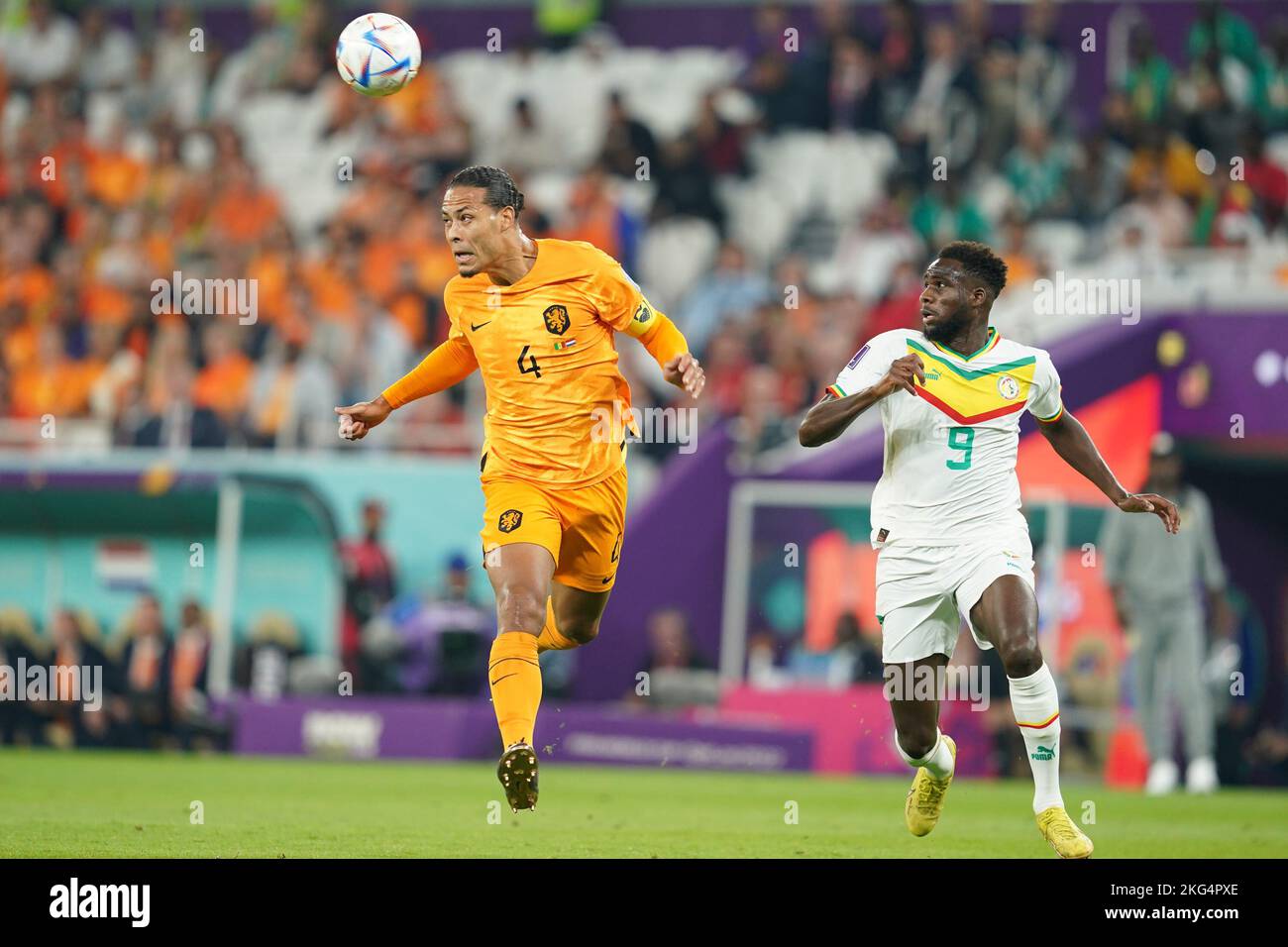 Senegal v netherlands fifa world cup qatar 2022 hi-res stock photography and images