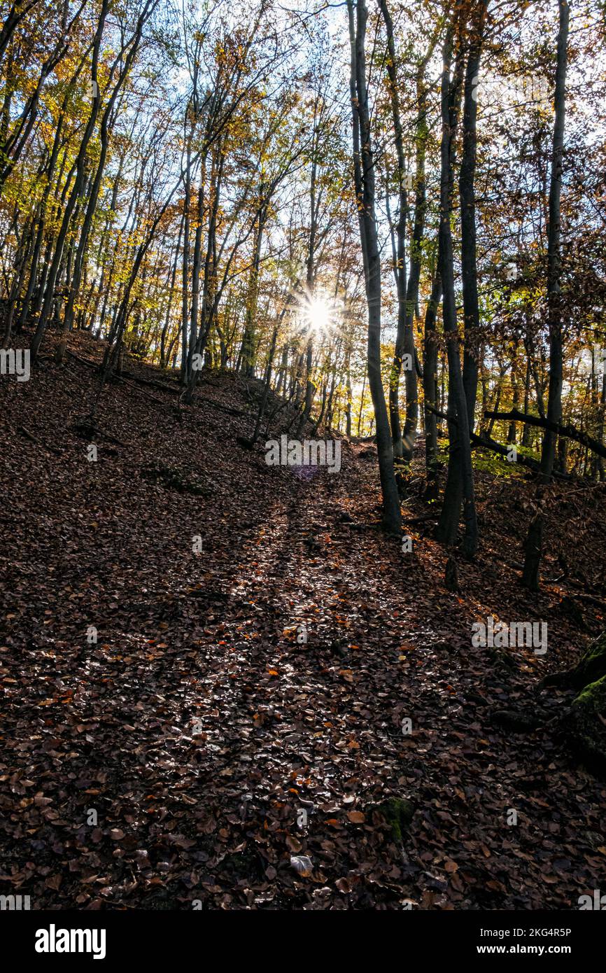 Strazov mountains, Slovak republic. Seasonal natural scene. Travel destination. Stock Photo