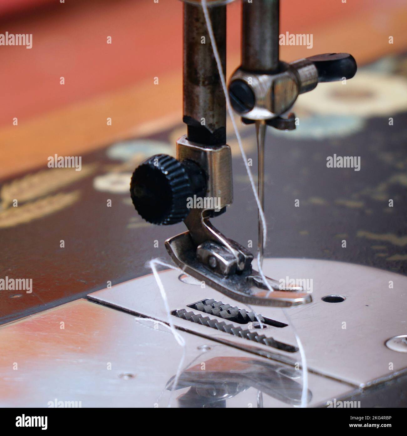 Sewing needle with thread on a sewing machine. Soft focus. Selective focus Stock Photo
