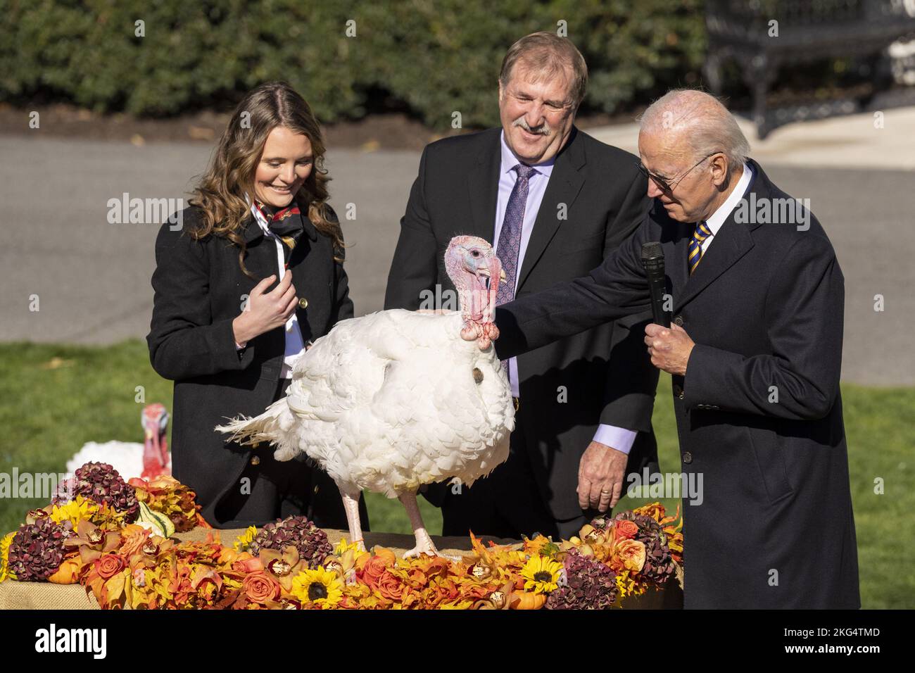75th anniver hires stock photography and images Alamy
