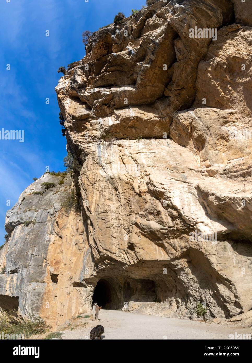 Foz o cañón de Lumbier en otoño, formado por el río Irati. Garganta de piedra caliza. Lugar mágico en Navarra, España Stock Photo