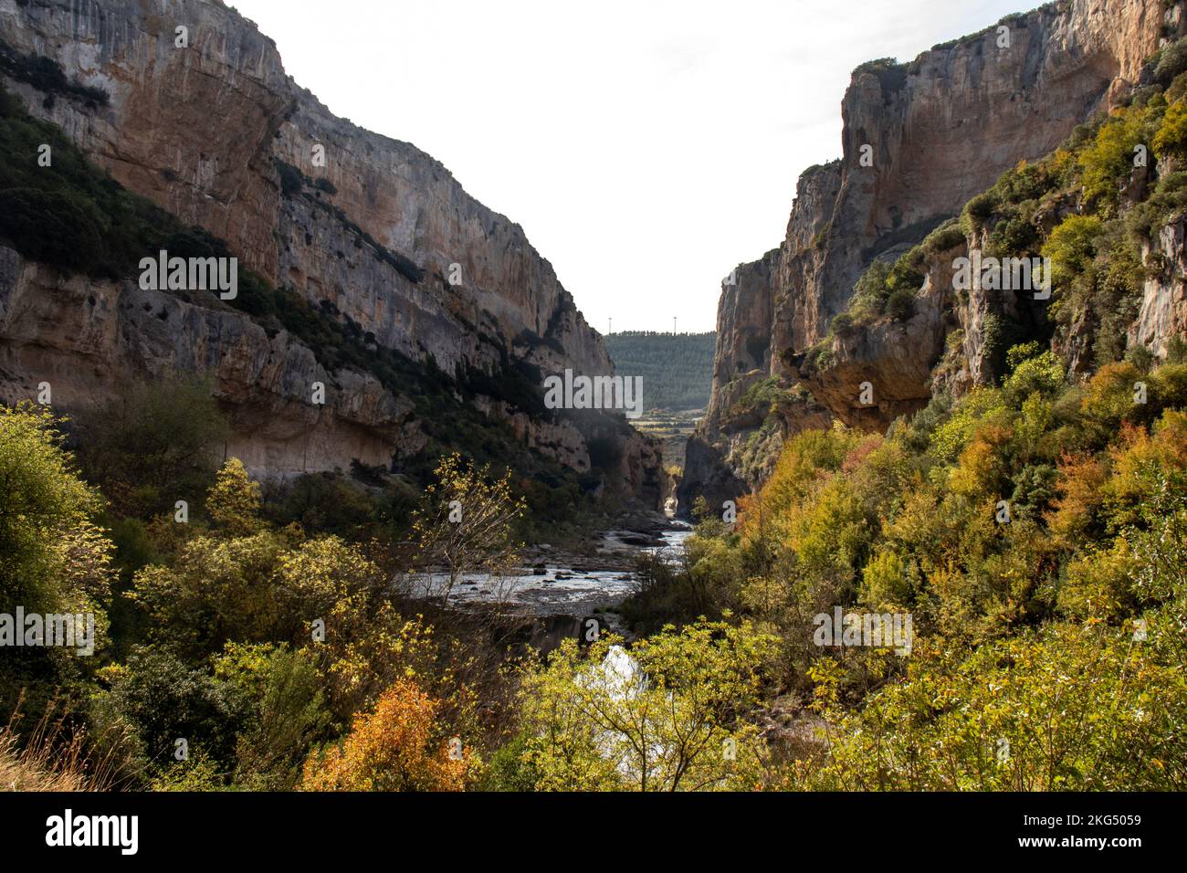 Foz o cañón de Lumbier en otoño, formado por el río Irati. Garganta de piedra caliza. Lugar mágico en Navarra, España Stock Photo
