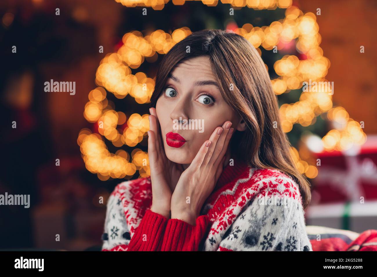 Portrait photo of young excited positive cute playful woman wear warm comfort sweater touch cheeks pouted lips new year atmosphere indoors Stock Photo
