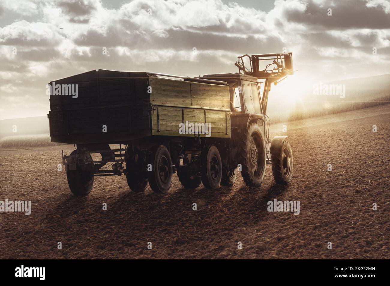 Tractor harvesting in the sunset Stock Photo - Alamy